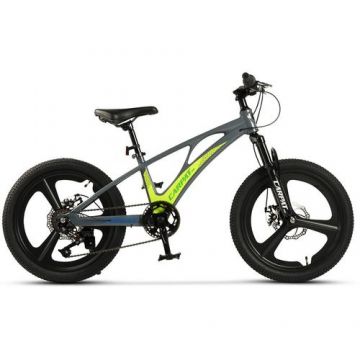 ﻿﻿Bicicleta Copii MTB Carpat C20343A, roti 20inch, Gri/Verde