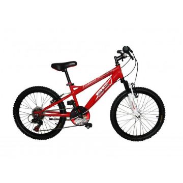 Denver - Bicicleta cu pedale, 20 , Multicolor