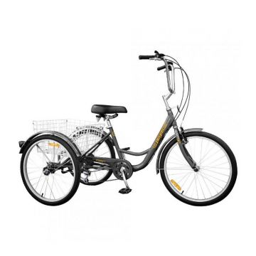 Bicicleta Pegas Senior SENIOR243GRI, 24